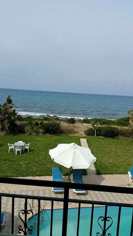 Olgas Villa Agia Marina  Номер фото