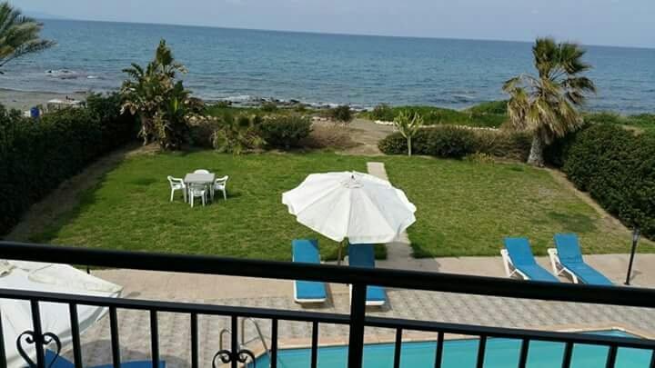 Olgas Villa Agia Marina  Номер фото