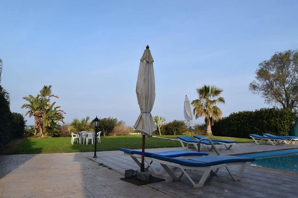 Olgas Villa Agia Marina  Номер фото