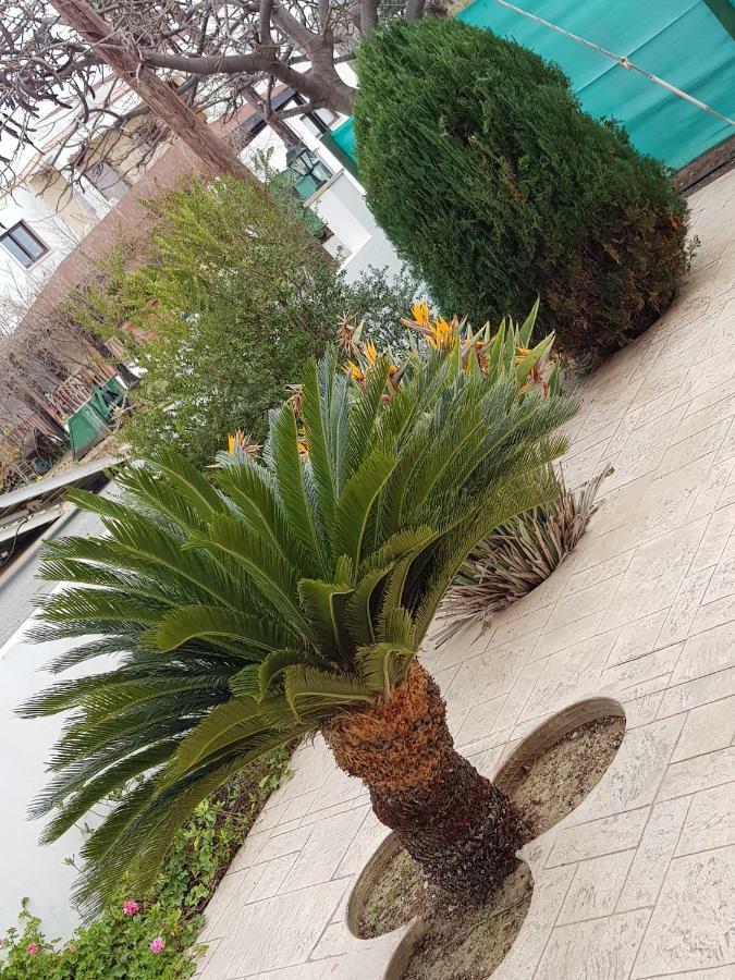 Olgas Villa Agia Marina  Экстерьер фото