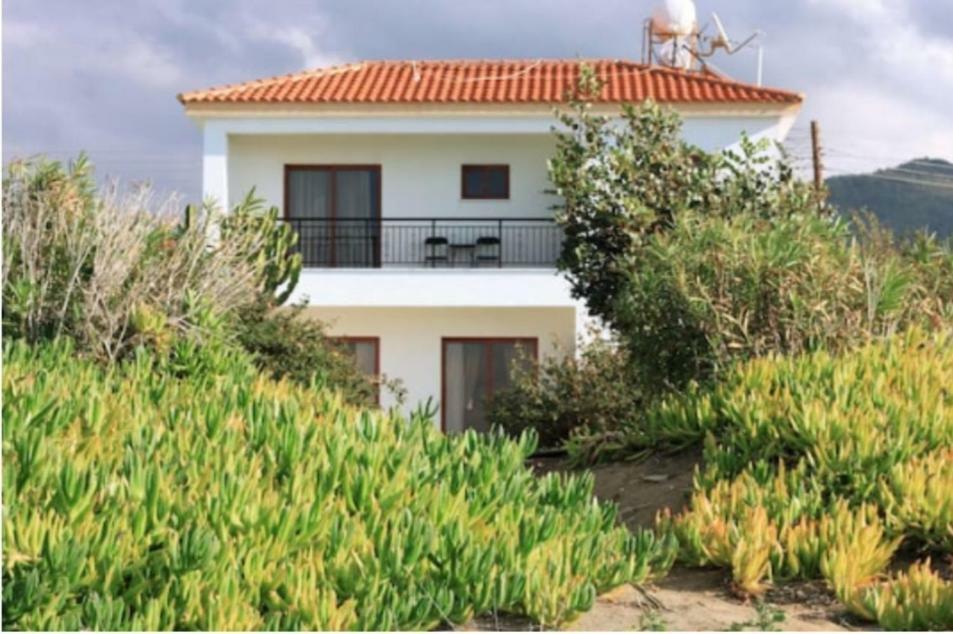 Olgas Villa Agia Marina  Экстерьер фото